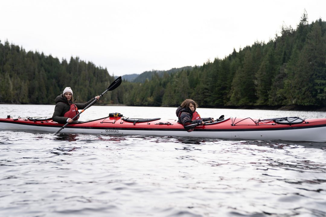 6 Nature Livestreams We Love now & gen